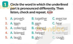 Tiếng Anh 7 Review 1 Language