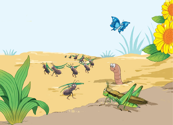 Bài 15: Ngày như thế nào là đẹp? - Đọc