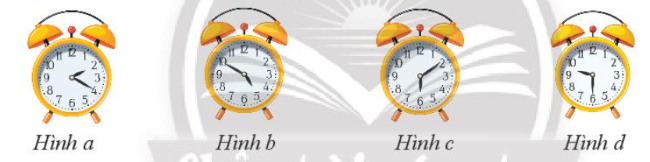 Bài 1 trang 24 Toán 6 tập 2 SGK Chân trời sáng tạo