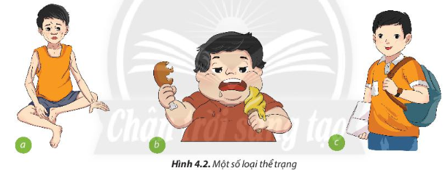 Công nghệ 6 bài 4 sách Chân trời sáng tạo