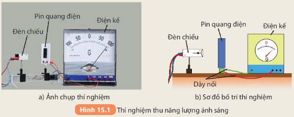 Hình 15.1 SGK Khoa học tự nhiên 7 KNTT