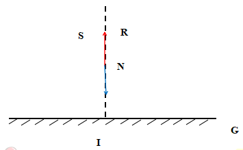Câu 1 trang 75 KHTN 7 Cánh diều