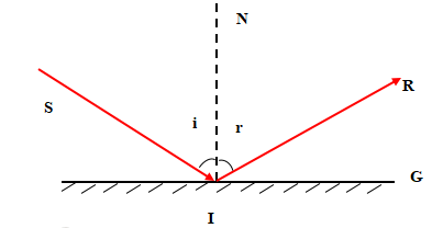 Câu 1 trang 75 KHTN 7 Cánh diều