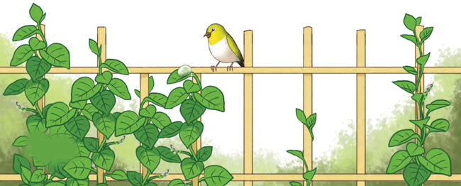 Bài 1: Giọt sương