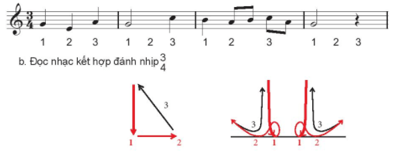 Đọc nhạc: Bài đọc nhạc số 5 SGK Âm nhạc 6 - Kết nối tri thức