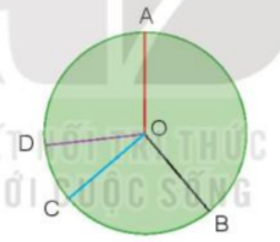 Toán lớp 3 trang 65, 66 Bài 22: Luyện tập chung | Kết nối tri thức