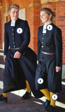 Tiếng Anh 7 Cánh Diều Unit 3 The Real World