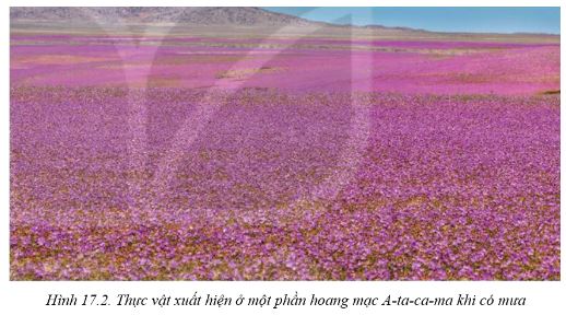 Giải Địa 10 Bài 17