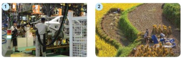 Giải Kinh tế và Pháp luật 10 Bài 1