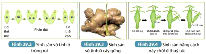 giải KHTN 7