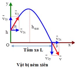 Giải Lý 10 Bài 4