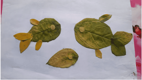 Ứng dụng - trang 28 SGK Mĩ thuật lớp 6 CD