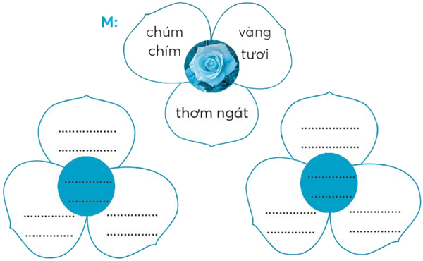 Bài 4: Hoa cỏ sân trường