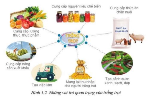 Giải Công nghệ 10 Bài 1