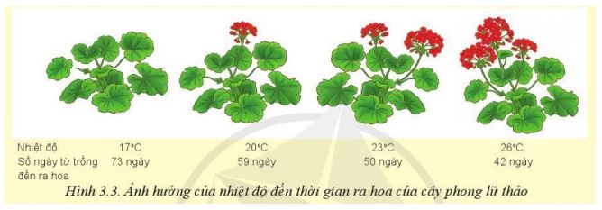 Giải Công nghệ 10 Bài 3