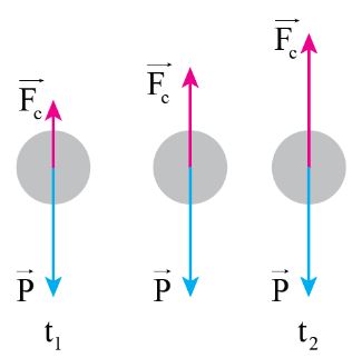 Giải Lý 10 Bài 12