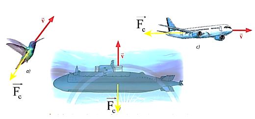 Giải Lý 10 Bài 12