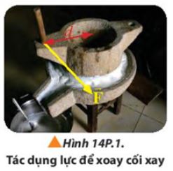 Giải Lý 10 Bài 14