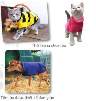 Khám phá - trang 29 SGK Mĩ thuật lớp 6 CD