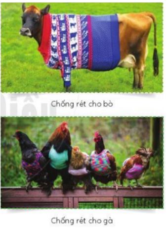 Ứng dụng - trang 32 SGK Mĩ thuật lớp 6 Cánh Diều