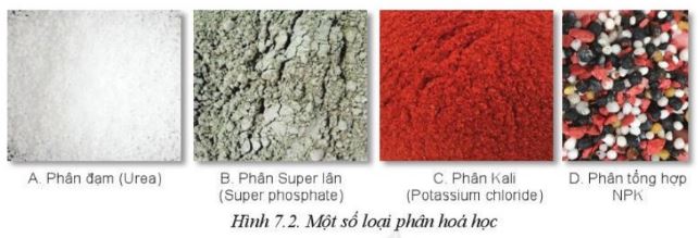 Giải Công nghệ 10 Bài 7