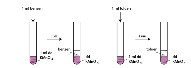 cấu tạo phân tử benzen