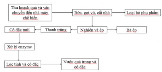 Giải Công nghệ 10 Ôn tập chủ đề 6