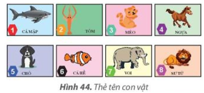 Tin học lớp 3 Bài 7: Sắp xếp để dễ tìm trang 34, 35, 36, 37, 38 | Kết nối tri thức (ảnh 1)