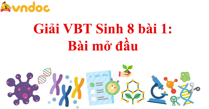 Giải Vbt Sinh 8 Bài 1: Bài Mở Đầu - Giải Vở Bài Tập Sinh Học 8 - Vndoc.Com