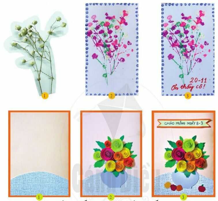 Sáng tạo - trang 56 SGK Mĩ thuật lớp 6 Cánh Diều