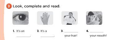 Sách bài tập Tiếng Anh 3 Unit 4 Our bodies