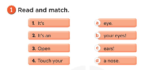 Sách bài tập Tiếng Anh 3 Unit 4 Our bodies