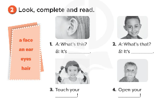 Sách bài tập Tiếng Anh 3 Unit 4 Our bodies