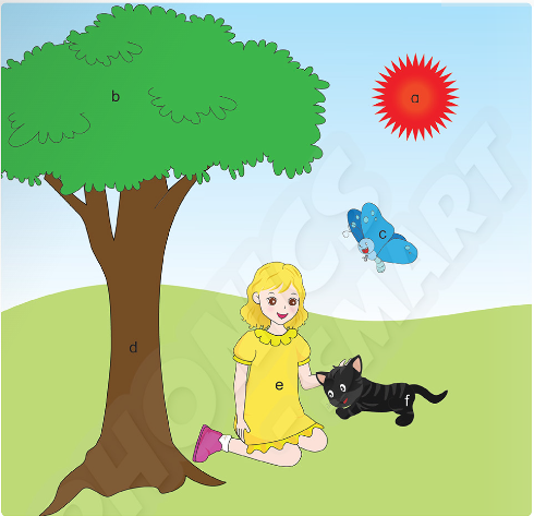 SBT Tiếng Anh lớp 3 Phonics Smart Unit Welcome Colours