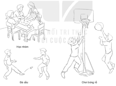 Quan sát - trang 22 SGK Mĩ thuật lớp 6 Kết nối tri thức