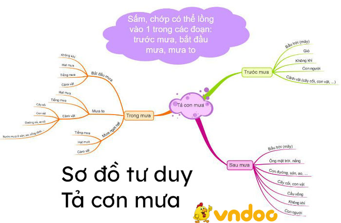 Sơ đồ tư duy tả cơn mưa rào mùa hạ