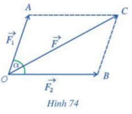 Bài tập cuối chương 4