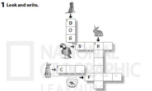 Sách bài tập Tiếng Anh 3 Wonderful World Unit 3 Lesson 1