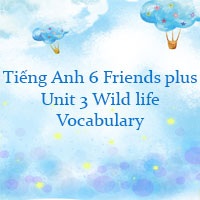 Tiếng Anh lớp 6 Friends plus unit 3 Vocabulary