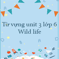 Từ vựng unit 3 lớp 6 Wild life