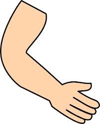 Bài tập cuối tuầnTiếng Anh lớp 3 Global Success - Tuần 7