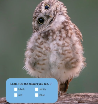 Tiếng Anh 3 Wonderful World Unit 3 Lesson 1