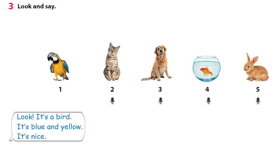 Tiếng Anh 3 Wonderful World Unit 3 Lesson 1