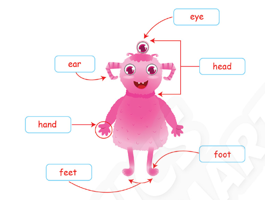 SBT Tiếng Anh 3 Phonics Smart Unit 3 Lesson 1