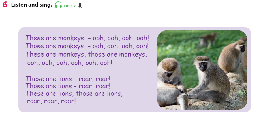 Tiếng Anh 3 Wonderful World Unit 3 Lesson 2