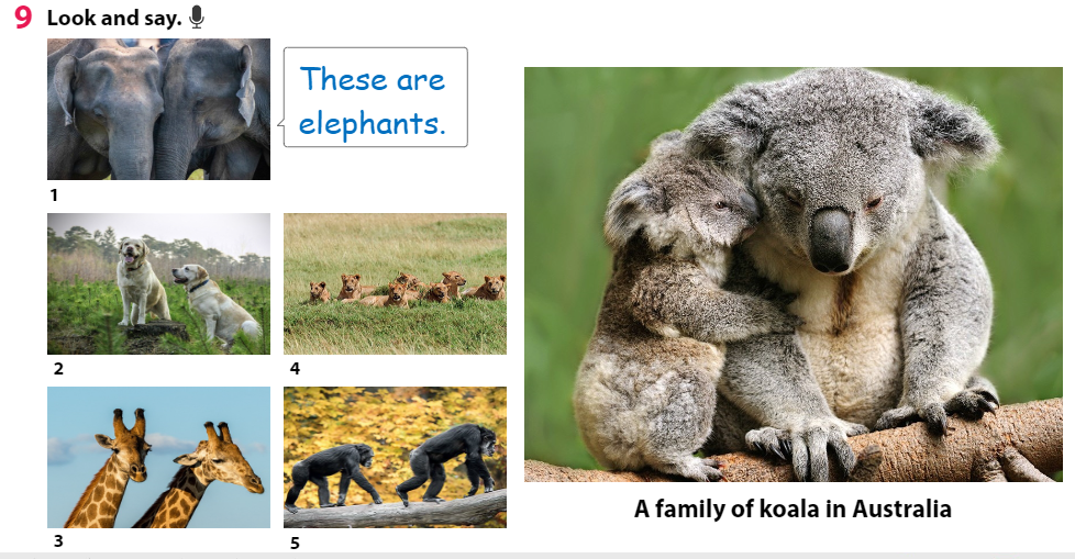 Tiếng Anh 3 Wonderful World Unit 3 Lesson 2