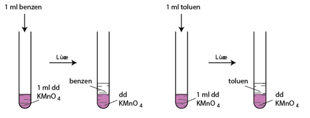 đồng đẳng của Benzen