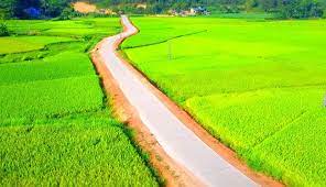  Viết đoạn văn lớp 3