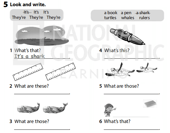 Sách bài tập Tiếng Anh 3 Wonderful World Review 2