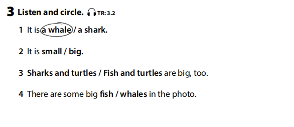 Sách bài tập Tiếng Anh 3 Wonderful World Unit 3 Lesson 3
